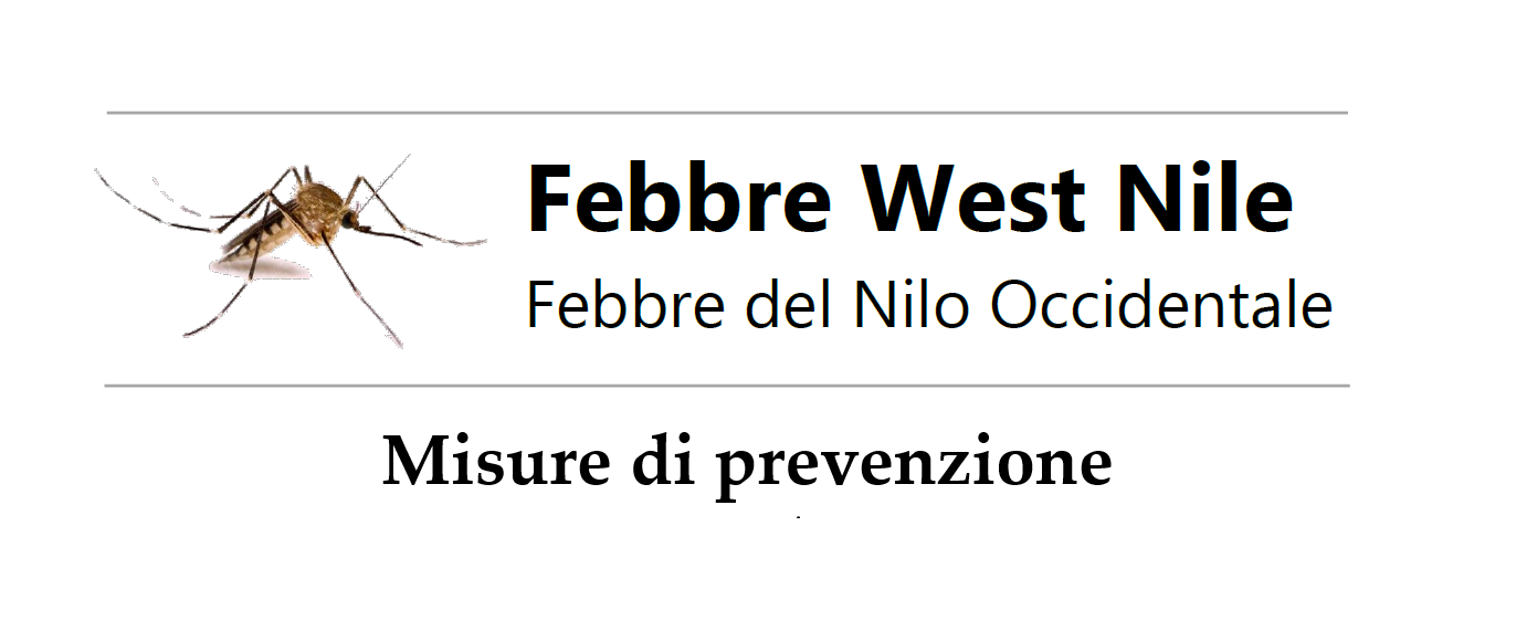 Immagine anteprima
